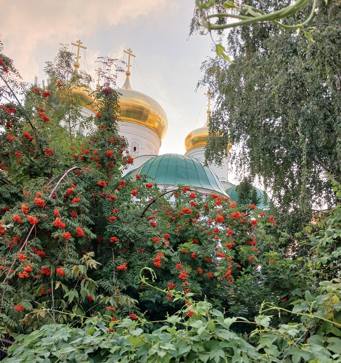 <span style="font-weight: bold;">УЛОЧКИ-ЗАКОУЛОЧКИ</span><br>